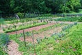 Vegetable Garden at Booker T. Washington National Monument